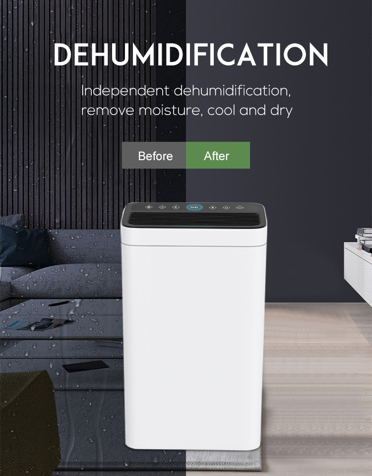 dehumidifier-with-air