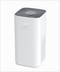air cleaner purifier-p6